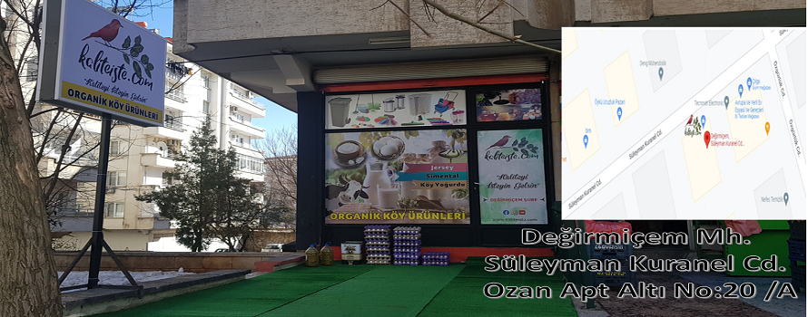 Şubemizin Açılışı