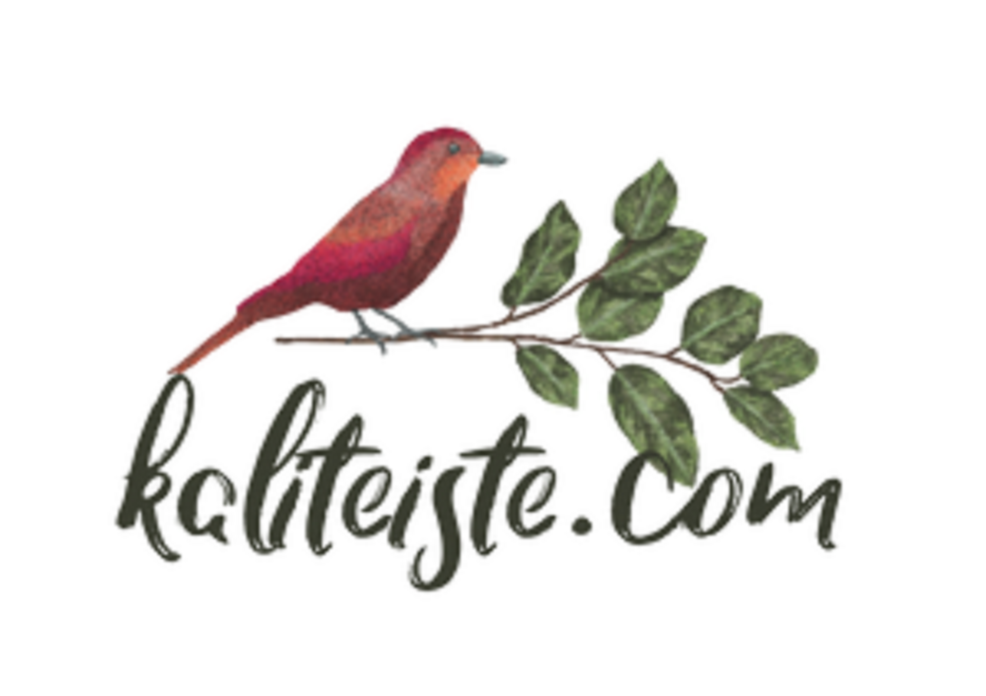 www.kaliteiste.com