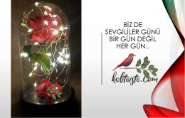 Fanus İçinde Led Aydınlatmalı Büyük Boy Solmayan Gül