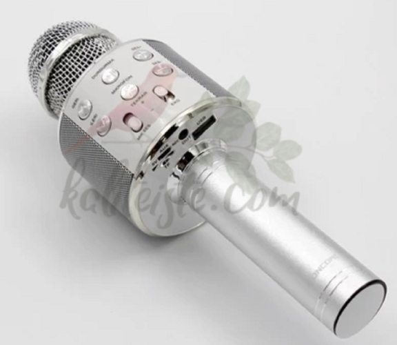 Kareoke Mikrofon - 2