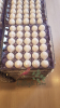 Tek Sarılı 30 lu Kolide XL Çiftlik Yumurtası - Thumbnail (1)