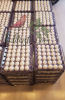 Tek Sarılı 30 lu Kolide XL Çiftlik Yumurtası - Thumbnail (2)
